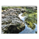 Florida Scenery calendars by pixelgirl Florida Scenery calendars