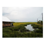 Florida Scenery Post Card
