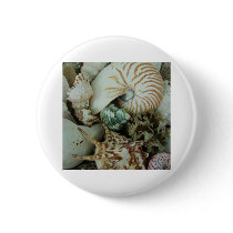 Florida Sea Shells buttons