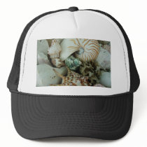 Florida Sea Shells hats