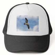 Florida seagull flying against blue sky trucker hat