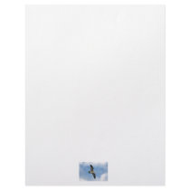 Florida seagull flying against blue sky letterhead design
