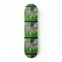 Florida Squirrel Walking In Grass Skateboard
