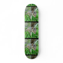 Florida Squirrel Walking In Grass Skateboard