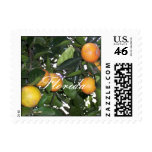 Florida Stamp