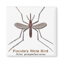 Florida State Bird magnets by clarachandler Florida State Bird magnets