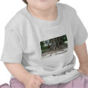 Florida State Champion Mysore Fig Tree Roots t-shirts by MysoreFigTree Florida State Champion Mysore Fig Tree Roots t-shirts