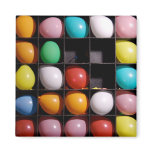 Florida State Fair Balloons Magnet