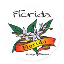 Florida State Flower Orange Blossom Stickers