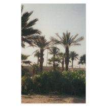 Florida stationery