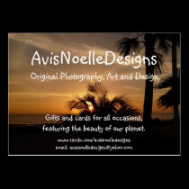 Florida Sunrise business cards
