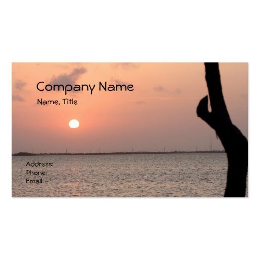 Florida Sunrise Business Card