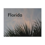 Florida Sunset - Postcard