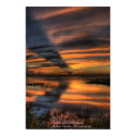 Florida Sunset posters