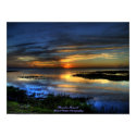 Florida Sunset posters