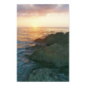 Florida Sunset posters by cherylarogers Florida Sunset posters