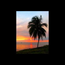 Florida sunset posters