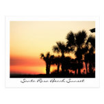Florida Sunset Santa Rosa Beach Palm Trees Post Card