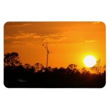 Florida sunset trees Flexi Magnet