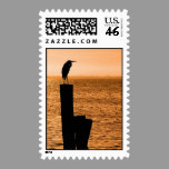 Florida Sunset With Bird Postage stamps