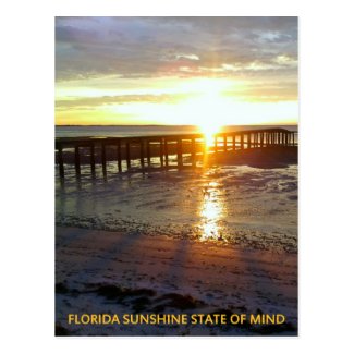 Florida Sunshine State of Mind Postcards