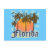 souvenir,beaches,beach,vacation,florida,fla,tallah