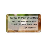 Florida Tree Frog Design with explanation text Personalized Address Label
