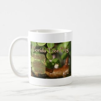 Florida Tree Frog Design with explanation text mug