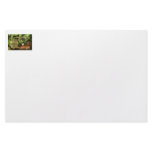 Florida Tree Frog Design with explanation text Custom Stationery