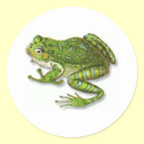 Florida Tree Frog stickers