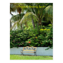 Florida Tropical Spot Postcard