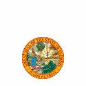 FLORIDA t-shirts