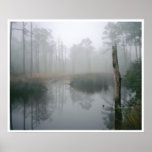 Florida Wetland, Navarre posters
