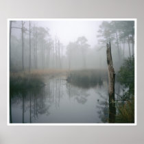 Florida Wetland, Navarre Poster