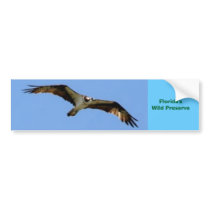Florida Wildlife Bumper Sticker bumper stickers by downrightcrazy Florida Wildlife Bumper Sticker bumper stickers
