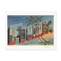 FloridaLarge Letter ScenesFlorida Post Card