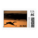 Florida's Air Mail System postage