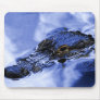 Floridas Alligator Mousepad