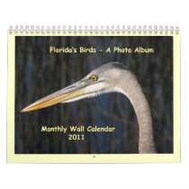 Florida's Birds - A Photo Album Wall Calendars