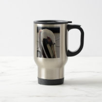 Florida's Brown Pelican - closeup mugs