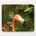 Floridas Flamingo mousepads by mataluis Floridas Flamingo mousepads
