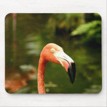 Floridas Flamingo mousepads by mataluis Floridas Flamingo mousepads