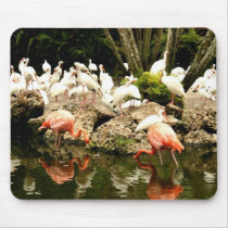 Floridas Flamingo mousepads by mataluis Floridas Flamingo mousepads