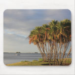 Florida's Paradise Mouse Pad