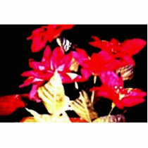 florz Sculpture photo sculptures