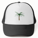 Flotsam Palm hats