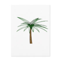 Flotsam Palm postcards by CptMikey Flotsam Palm postcards