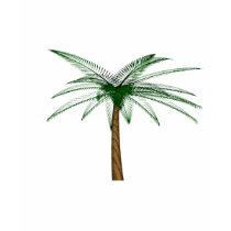 Flotsam Palm T Shirts