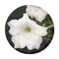 Flower1 magnets by Jrcphoto Flower1 magnets