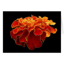 flower2 cards by REDINARD flower2 cards